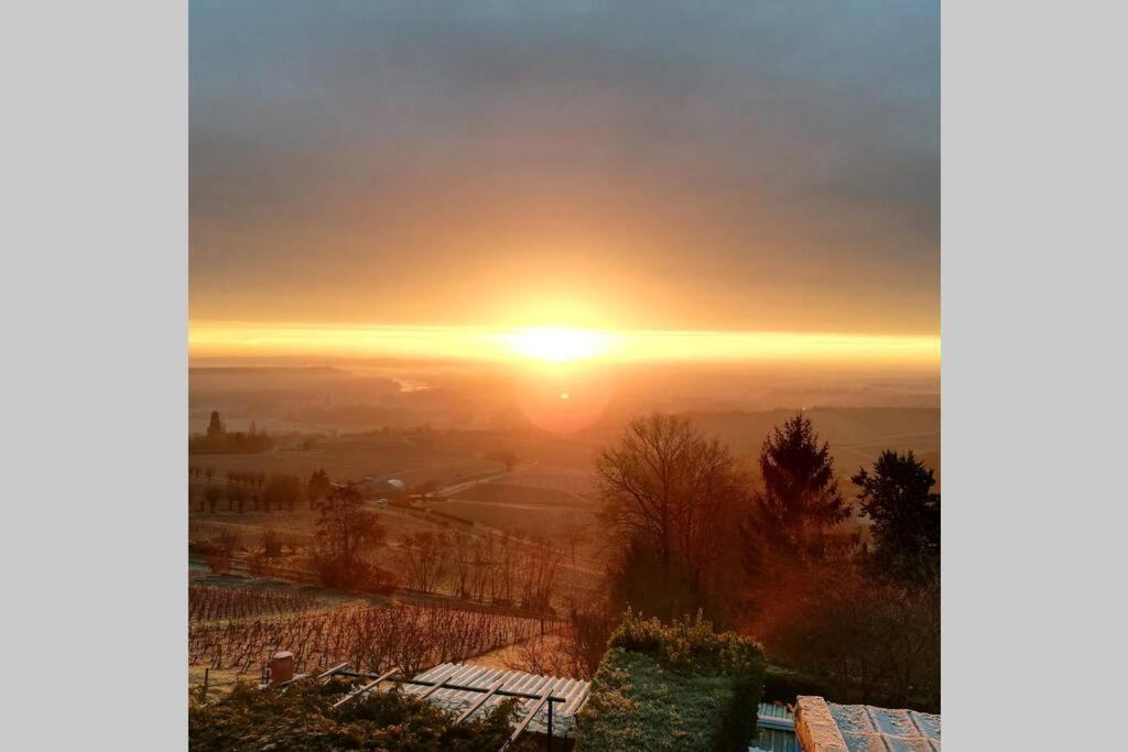 Ferienwohnung Vue Panoramique Sur Le Vignoble Sancerre Exterior foto